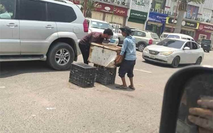السلطة المحلية تحذّر من استغلال المطبات والجزر الوسطية لبيع المياه ورمي القمامة وتعريض الباعه الأطفال للخطر وارباك الطريق