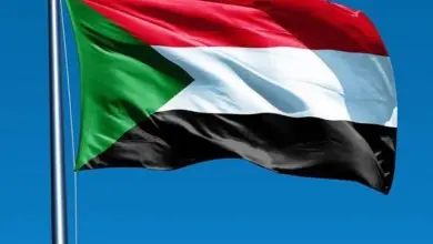 السودان يدين بشدة الهجمات الحوثية على المملكة ويؤكد تضامنه الكامل معها