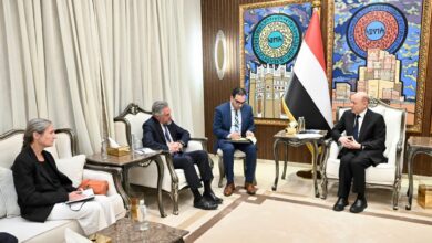 العليمي: الدفاع عن باب المندب حماية لأمن الممرات البحرية العالمية