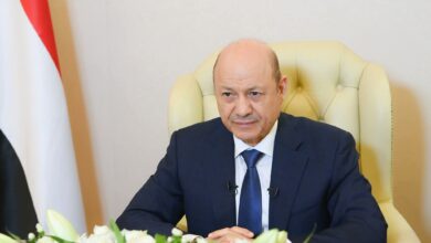 العليمي: لن نسمح بتحقيق أي مخطط للسيطرة على باب المندب