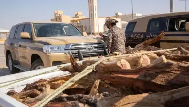 القوات الخاصة للأمن البيئي تضبط مواطناً بحوزته 13 متراً مكعباً من الحطب المحلي في الرياض