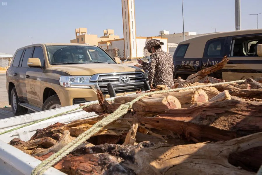 القوات الخاصة للأمن البيئي تضبط مواطناً بحوزته 13 متراً مكعباً من الحطب المحلي في الرياض