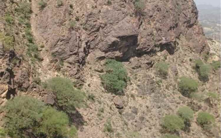 القوات المسلحة والمقاومة تتصدى لهجوم حوثي في جبهة الأغبرة بالصبيحة وتسيطر على جبل استراتيجي