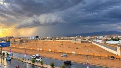المحافظ بن الوزير يوجه بتقييم آثار الأمطار والسيول ورفع مستوى الجاهزية في شبوة