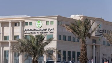 المملكة توسّع جهود تأهيل المراعي.. خطة لإعادة تأهيل 350 ألف هكتار بحلول 2030