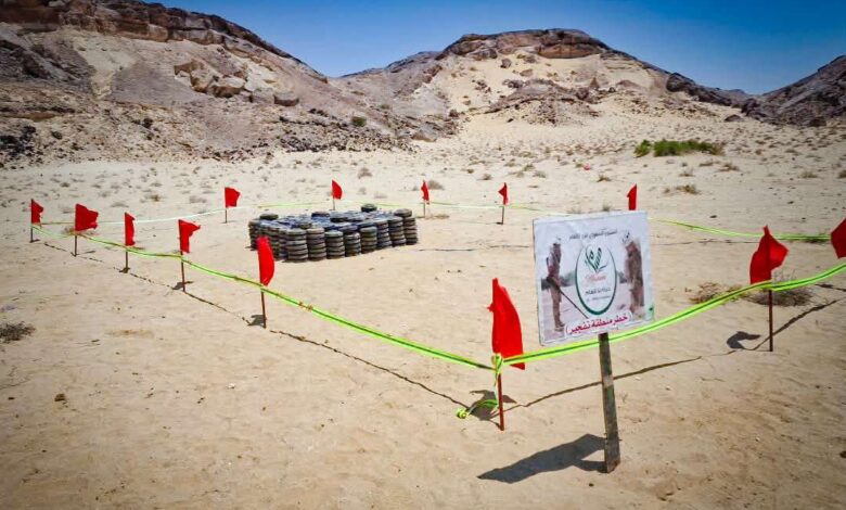 المهرة .. مشروع «مسام» يتلف 555 قطعة من الألغام والمخلفات الحربية