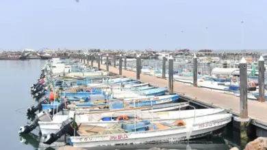 النقل تلزم ملاك قوارب جازان غير المستخدمة بمراجعة خلال شهر