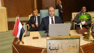 الوزير الأشول يدعو إلى استراتيجية عربية موحدة لمواجهة الحروب التجارية وتهديدات الممرات الملاحية