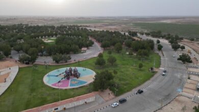 اليوم الوطني السعودي.. تجهيز 101 حديقة في بريدة لاستقبال الأهالي والزوار