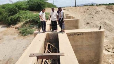 بتوجيهات المحافظ الرباش .. مدير عام الزراعة والري يتفقد عقمة العش وقناة الماس وصفيحة في دلتا أبين