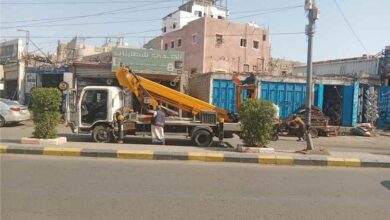 بتوجيهات اليزيدي.. المنصورة تعيد تأهيل 40 عمود إنارة مزدوج من تقاطع القاهرة حتى شارع التسعين