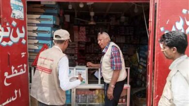 بقرارات قضائية... صناعة المنصورة يُغلق محل قطع غيار ويُسلّم 3 استدعاءات نيابية