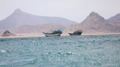 ثماني دول تؤكد رفضها لتعطيل الملاحة في مضيقي هرمز وباب المندب
