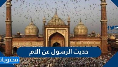 حديث الرسول عن الام