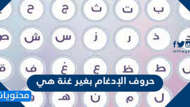 حروف الإدغام بغير غنة هي