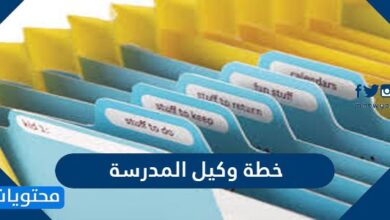 خطة وكيل المدرسة