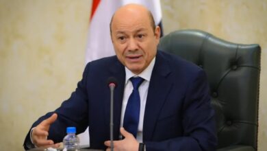 رئيس مجلس القيادة اليمني: باب المندب خط أحمر.. ومليشيات إيران لن تحقق أهدافها