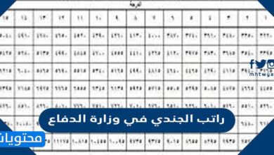راتب الجندي في وزارة الدفاع