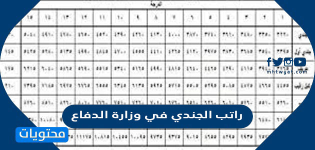 راتب الجندي في وزارة الدفاع