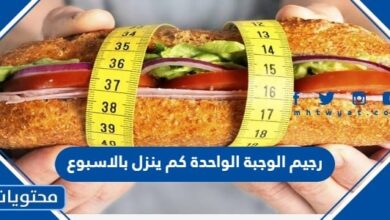 رجيم الوجبة الواحدة كم ينزل بالاسبوع