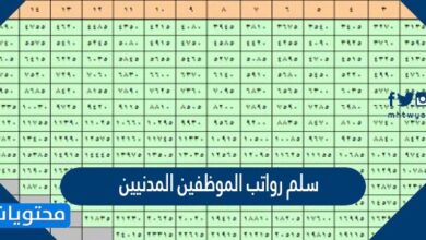 سلم رواتب الموظفين المدنيين