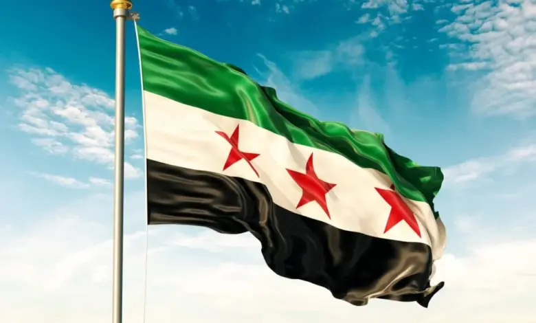 سوريا تدين بشدة استهداف خط أنابيب النفط السعودي بطائرات مسيرة