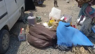 شبكة حقوقية تكشف: حملة حوثية لمداهمة ونهب منازل واحتجاز أسر في الساحل الغربي
