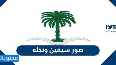 صور سيفين ونخله