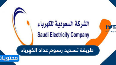 طريقة تسديد رسوم عداد الكهرباء