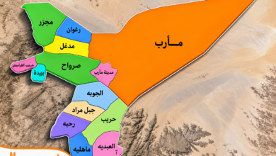 عاجل: مليشيات الحوثي تستهدف المجمع الحكومي في رغوان بصاروخ باليستي.. وأنباء عن عشرات الضحايا