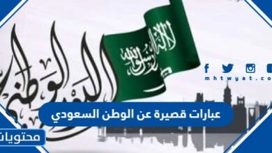 عبارات قصيرة عن الوطن السعودي 94 .. رسائل كلمات عن اليوم الوطني 1446