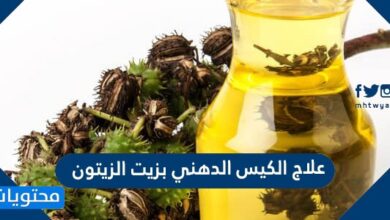 علاج الكيس الدهني بزيت الزيتون
