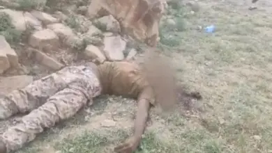 في إب .. المسشفيات ترفض استقبال مزيدًا من قتلى وجرحى الحوثيين القادمين من تعز والساحل الغربي