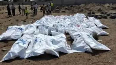 في مأرب | جرحى وقتلى حوثيون جنوب المحافظة .. يُتركون للنزيف وجثامين في مواقع المواجهات