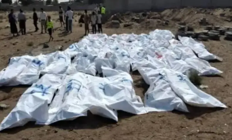 في مأرب | جرحى وقتلى حوثيون جنوب المحافظة .. يُتركون للنزيف وجثامين في مواقع المواجهات