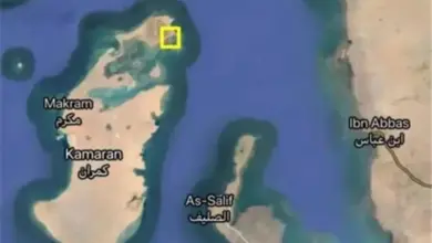 في مجلس الأمن.. تأكيد أممي على ضرورة حماية أمن البحر الأحمر وباب المندب
