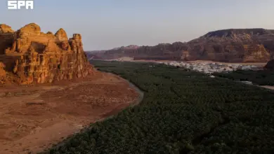 «فيلم العلا» توقّع مذكرة تفاهم مع «شيربورن ميديا» لتمويل الإنتاج السينمائي