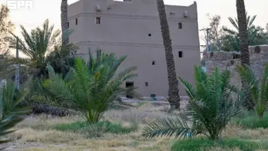 قصر السعيد التراثي في الشماسية يستعيد ملامحه بعد أكثر من 200 عام