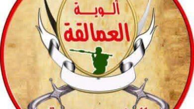 قوات العمالقة الجنوبية: معركة الدفاع عن الأرض والكرامة ضد مليشيات الحوثي معركة وجود وثبات