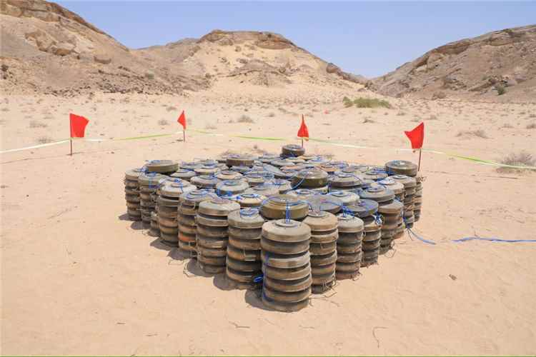 كده يتفقد جاهزية اللواء 123 مشاة في حات ويشرف على إتلاف 429 لغماً