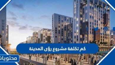 كم تكلفة مشروع رؤى المدينة