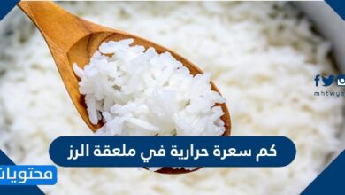 كم سعرة حرارية في ملعقة رز