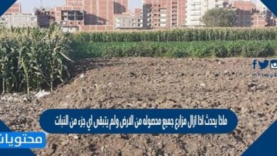ماذا يحدث اذا ازال مزارع جميع محصوله من الارض ولم يتبقى اي جزء من النبات ليموت ويتحلل ...وضحي اجابتك؟
