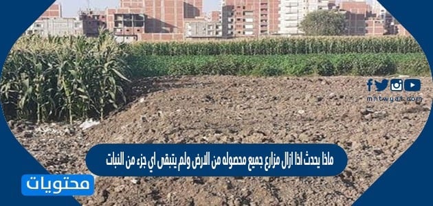 ماذا يحدث اذا ازال مزارع جميع محصوله من الارض ولم يتبقى اي جزء من النبات ليموت ويتحلل ...وضحي اجابتك؟