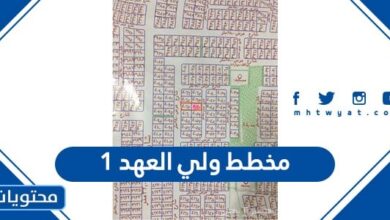 مخطط ولي العهد 1