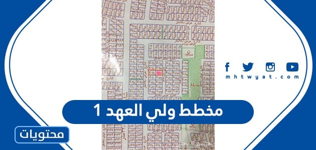 مخطط ولي العهد 1