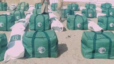مركز الملك سلمان للإغاثة يوزع 234 سلة غذائية للأسر النازحة في مديرية تبن بلحج