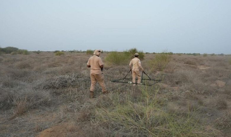 "مسام" يطهر 18 ألف متر مربع من مزارع ميدي في أغسطس