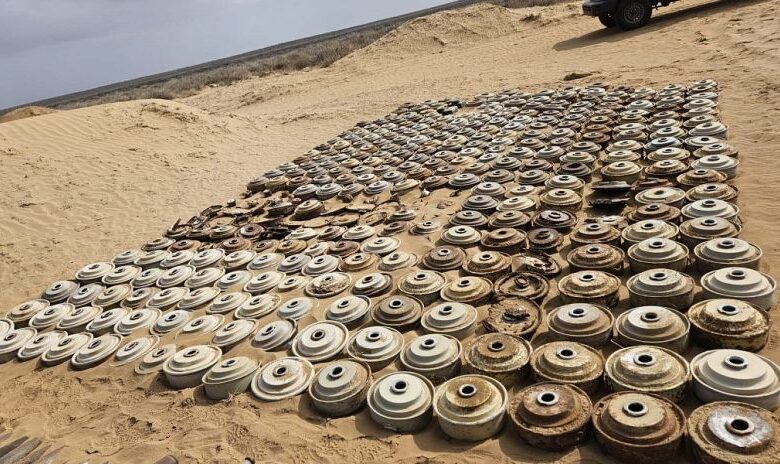 "مسام" ينزع 863 لغماً وذخيرة ويطهر نحو 195 ألف متر مربع من أراضي اليمن في أسبوع