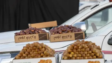 من «المحافر» إلى الكراتين.. تحول تدريجي في منظومة تسويق تمور القصيم